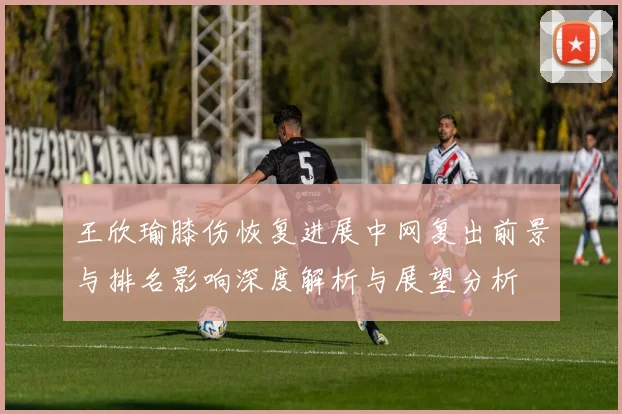 王欣瑜膝伤恢复进展中网复出前景与排名影响深度解析与展望分析